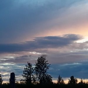 Meet your Posher, Ava